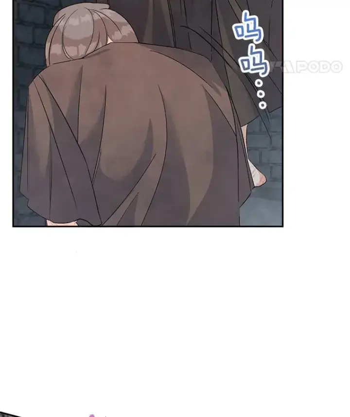 《伯爵孤女的重生》37.重返史佩斯监狱图15