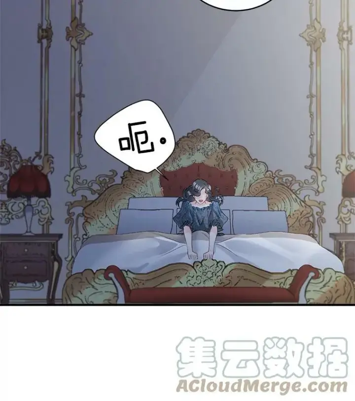 《伯爵孤女的重生》47.唯一的证人图28