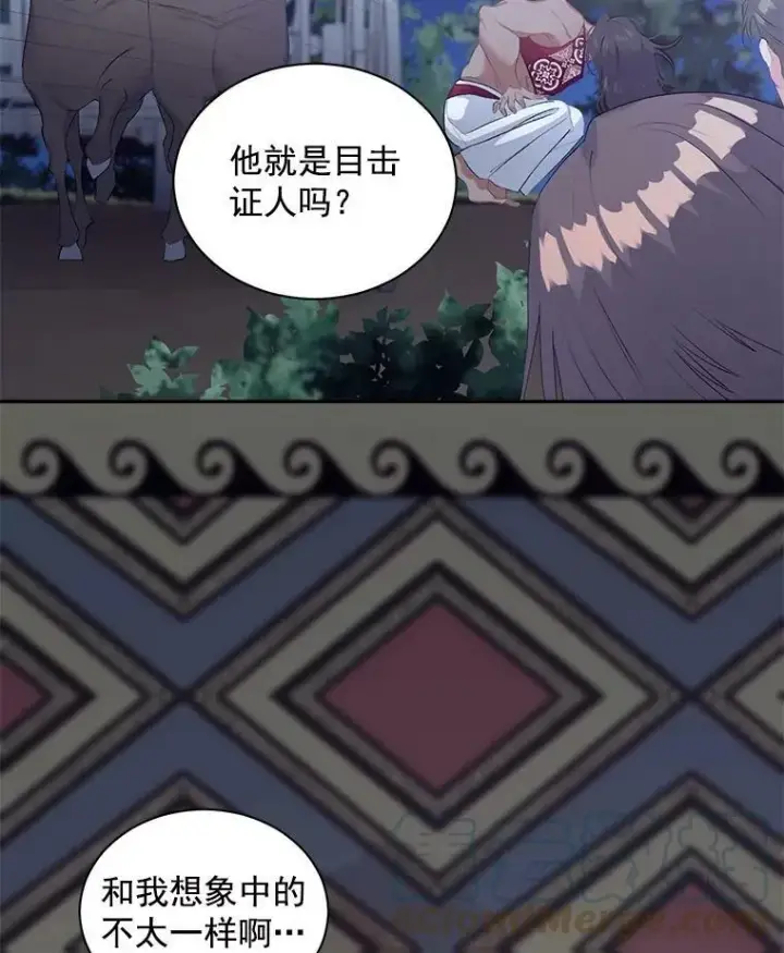 《伯爵孤女的重生》52.遭遇半路伏击图16