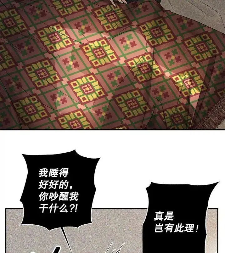 《伯爵孤女的重生》87.往事图33
