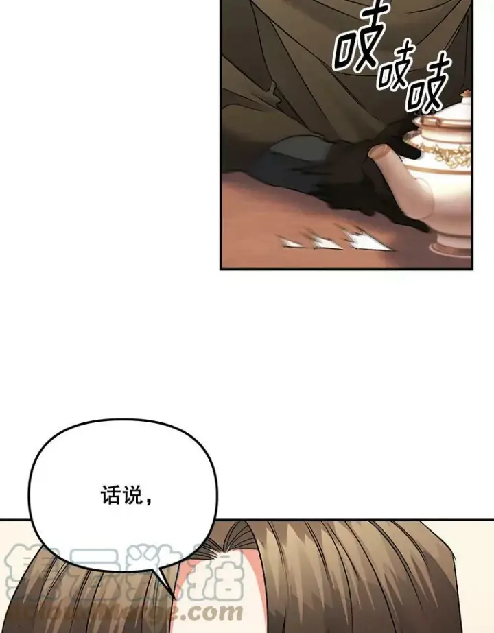 《伯爵孤女的重生》109.会面图46