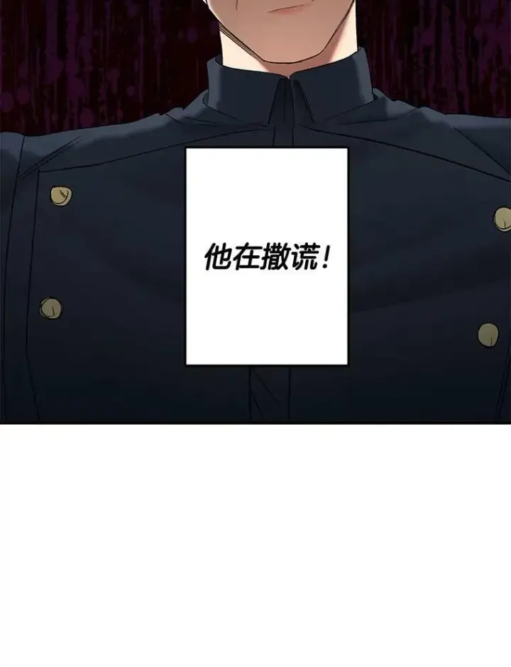 《伯爵孤女的重生》110.监察官图44