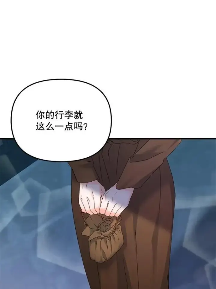 《伯爵孤女的重生》118.都是我杀的图30