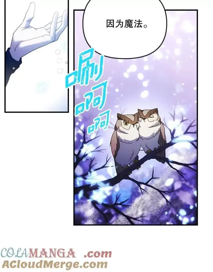 《伯爵孤女的重生》127.魔法的由来图37