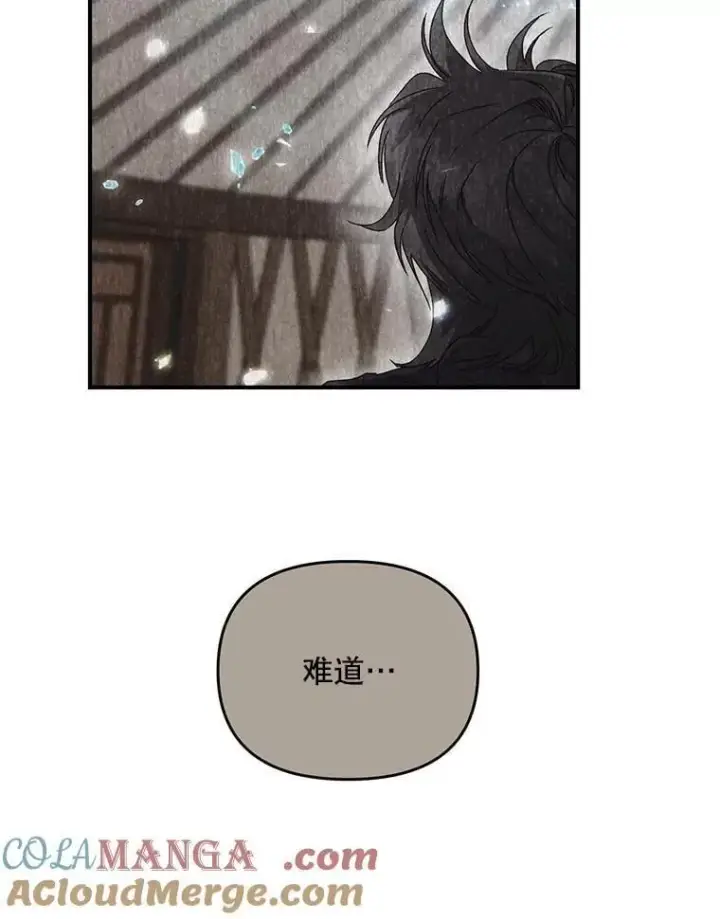 《伯爵孤女的重生》127.魔法的由来图49