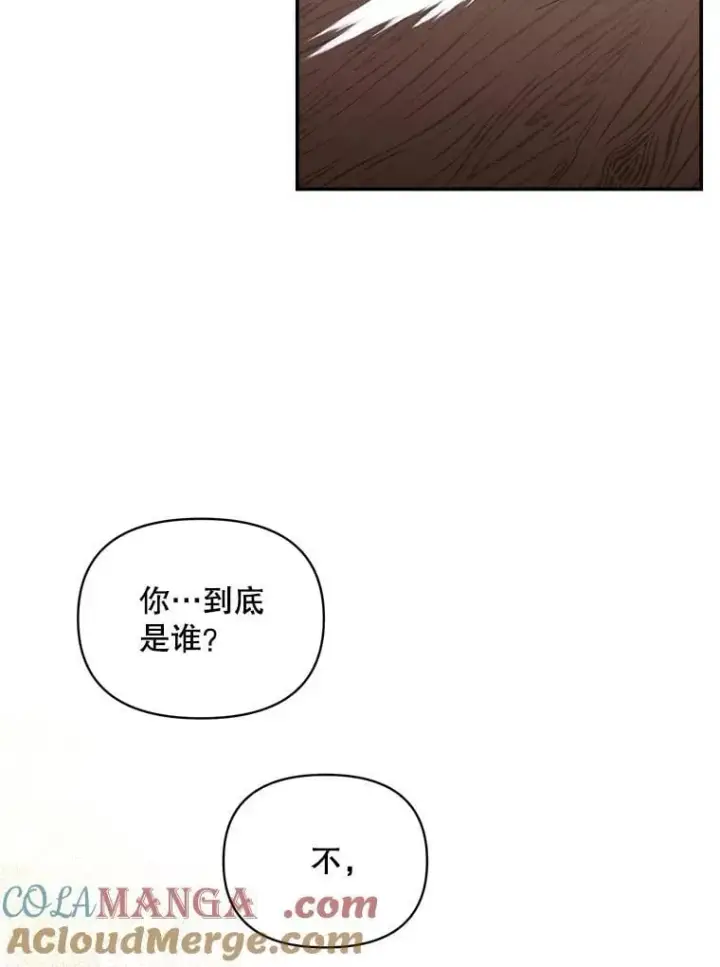 《伯爵孤女的重生》139.接受委托图25