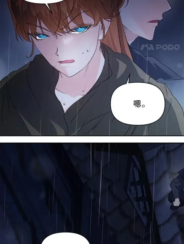 《伯爵孤女的重生》144.雨夜惊魂图74