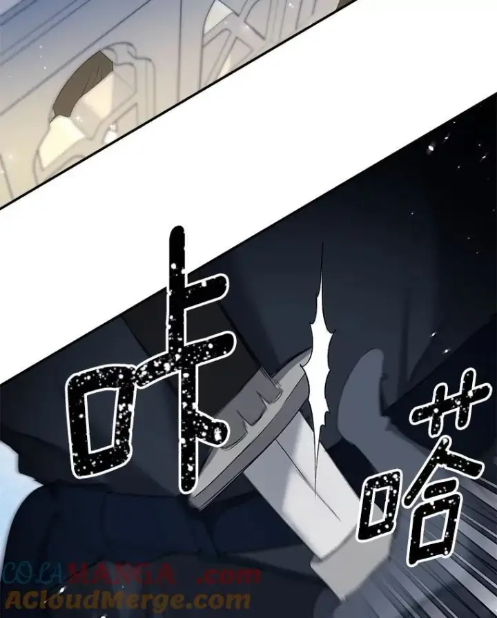 《伯爵孤女的重生》151.深入敌后图64