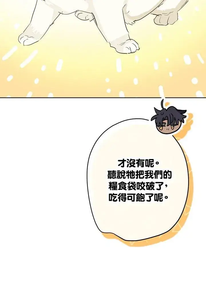 《伯爵家私生女的婚后生活》第39话图47