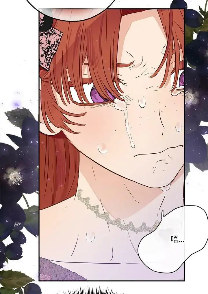 《伯爵家私生女的婚后生活》第44话图32