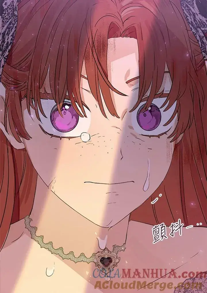 《伯爵家私生女的婚后生活》第45话图109