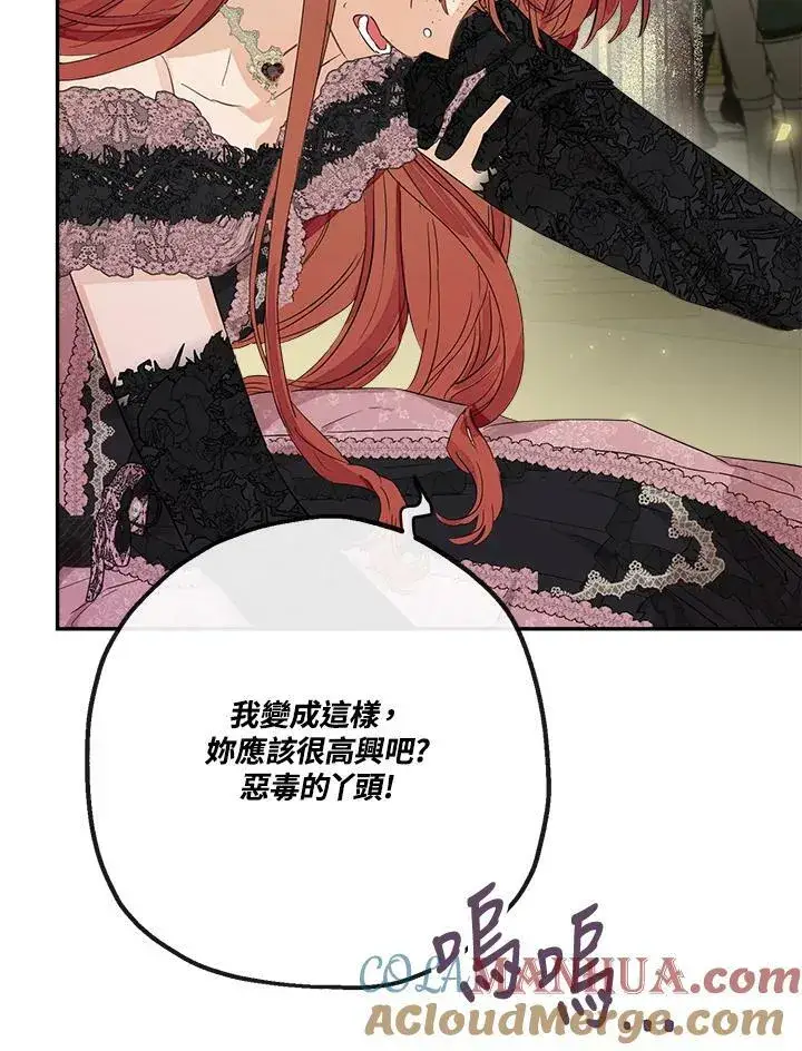 《伯爵家私生女的婚后生活》第45话图33
