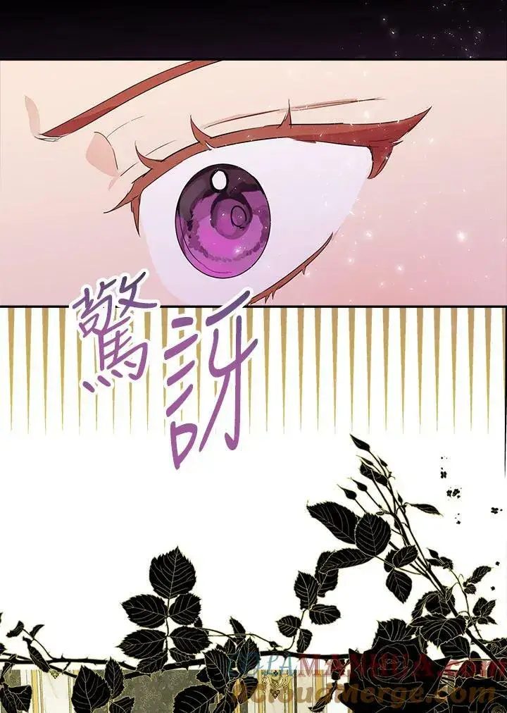 《伯爵家私生女的婚后生活》第48话图29