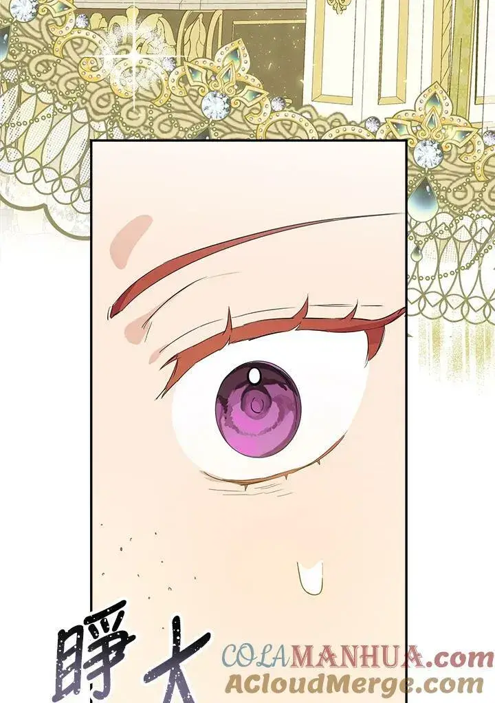 《伯爵家私生女的婚后生活》第48话图49