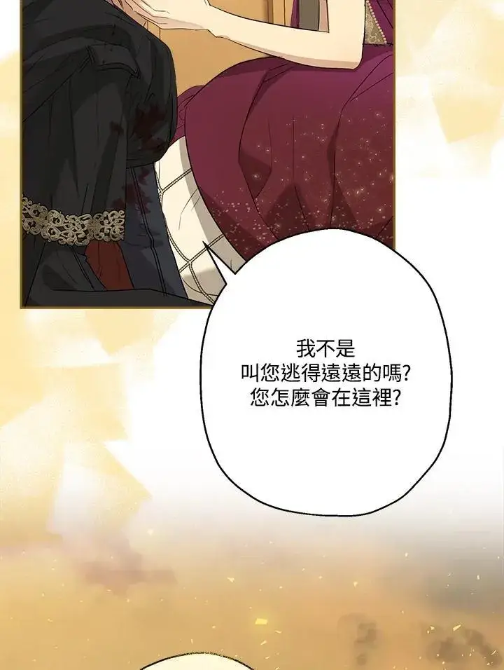 《伯爵家私生女的婚后生活》第76话图72