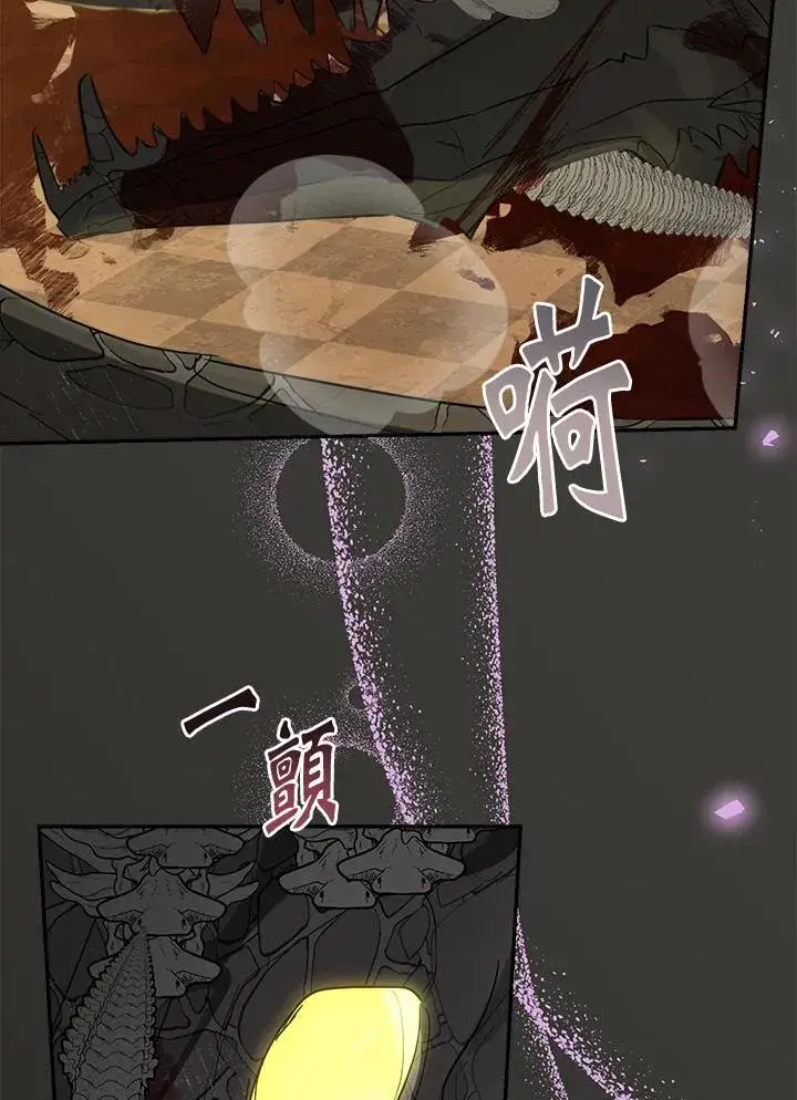 《伯爵家私生女的婚后生活》第76话图86