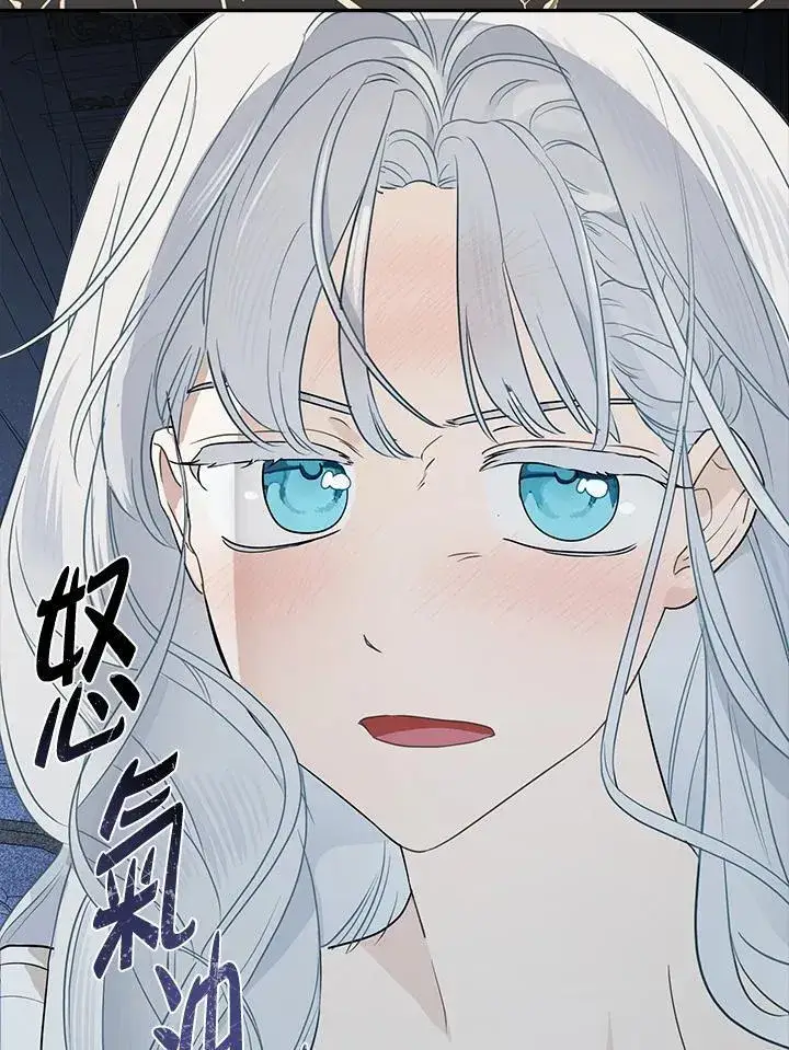 《伯爵家私生女的婚后生活》第80话图75