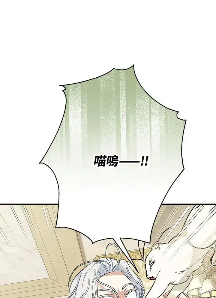 《伯爵家私生女的婚后生活》第84话图87