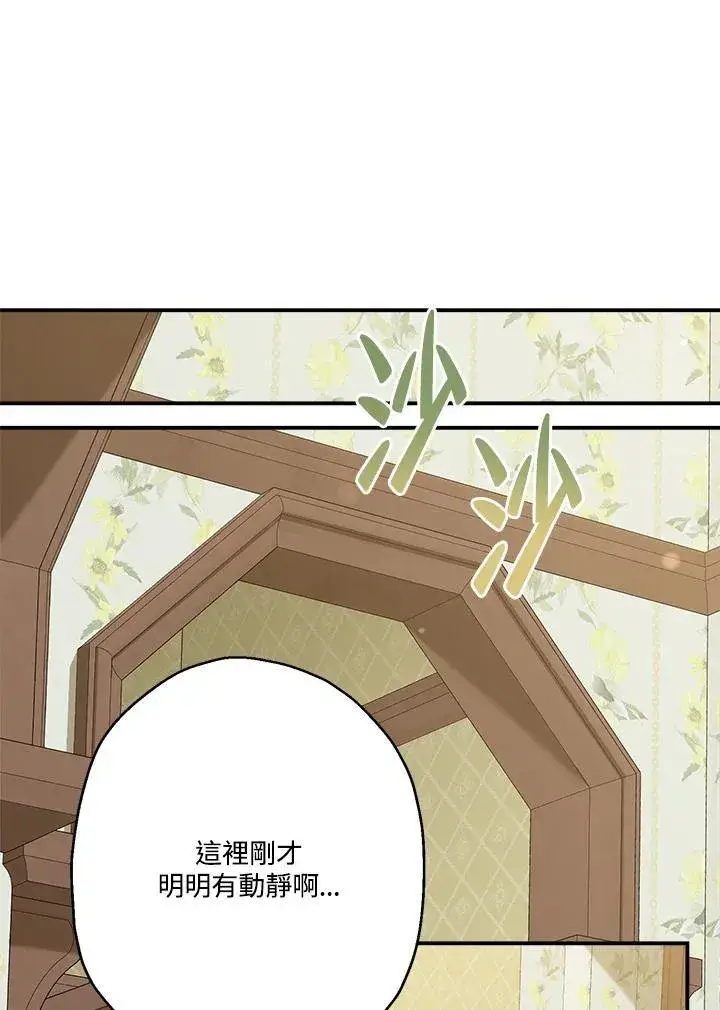 《伯爵家私生女的婚后生活》第85话图30