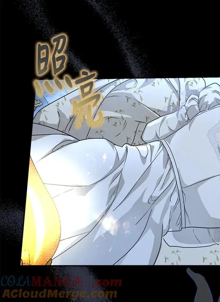 《伯爵家私生女的婚后生活》第86话图109