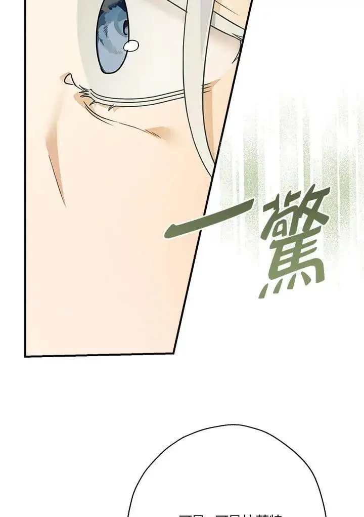 《伯爵家私生女的婚后生活》第86话图11