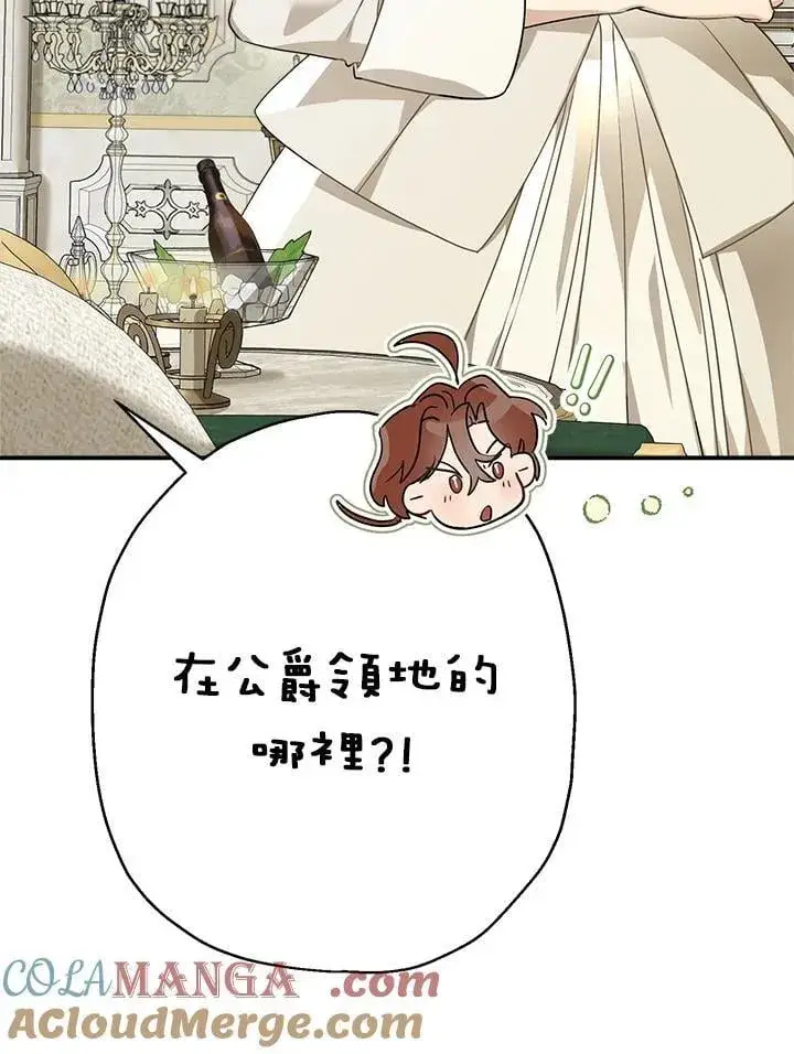 《伯爵家私生女的婚后生活》第91话图73