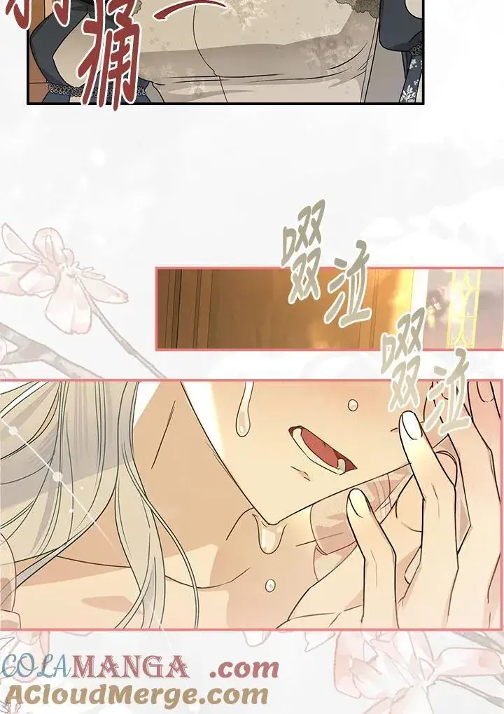 《伯爵家私生女的婚后生活》第93话图13