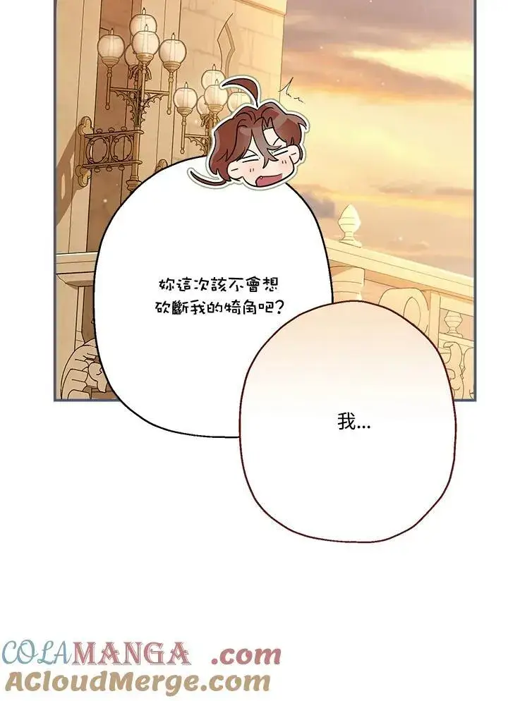 《伯爵家私生女的婚后生活》第93话图41