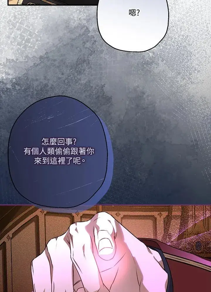 《伯爵家私生女的婚后生活》第93话图80