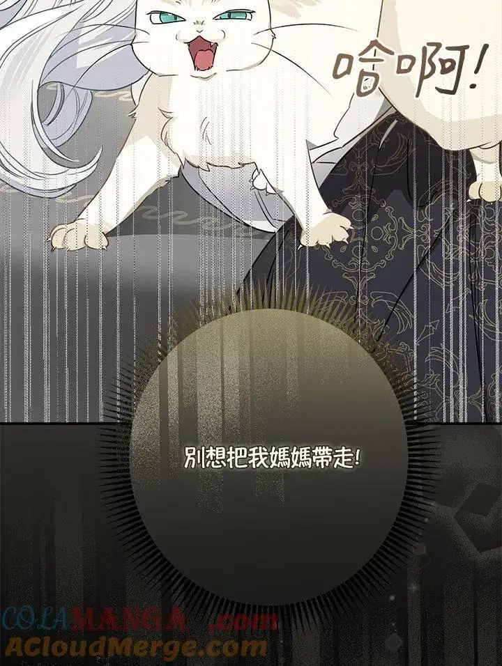 《伯爵家私生女的婚后生活》第94话图81