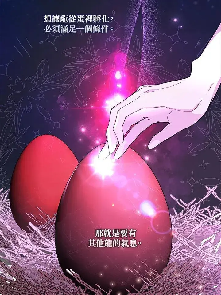 《伯爵家私生女的婚后生活》第95话图39