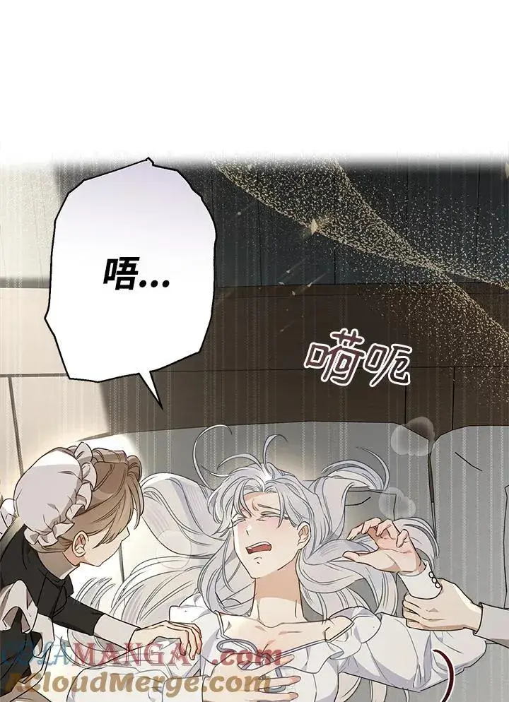 《伯爵家私生女的婚后生活》第95话图73