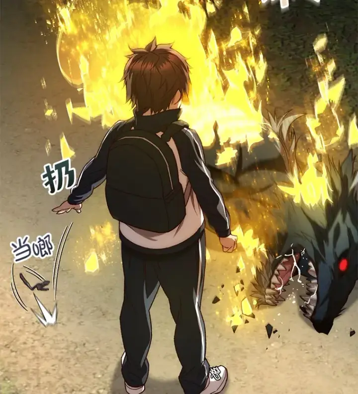 《不灭玩家的轮回》22.怪物群图68