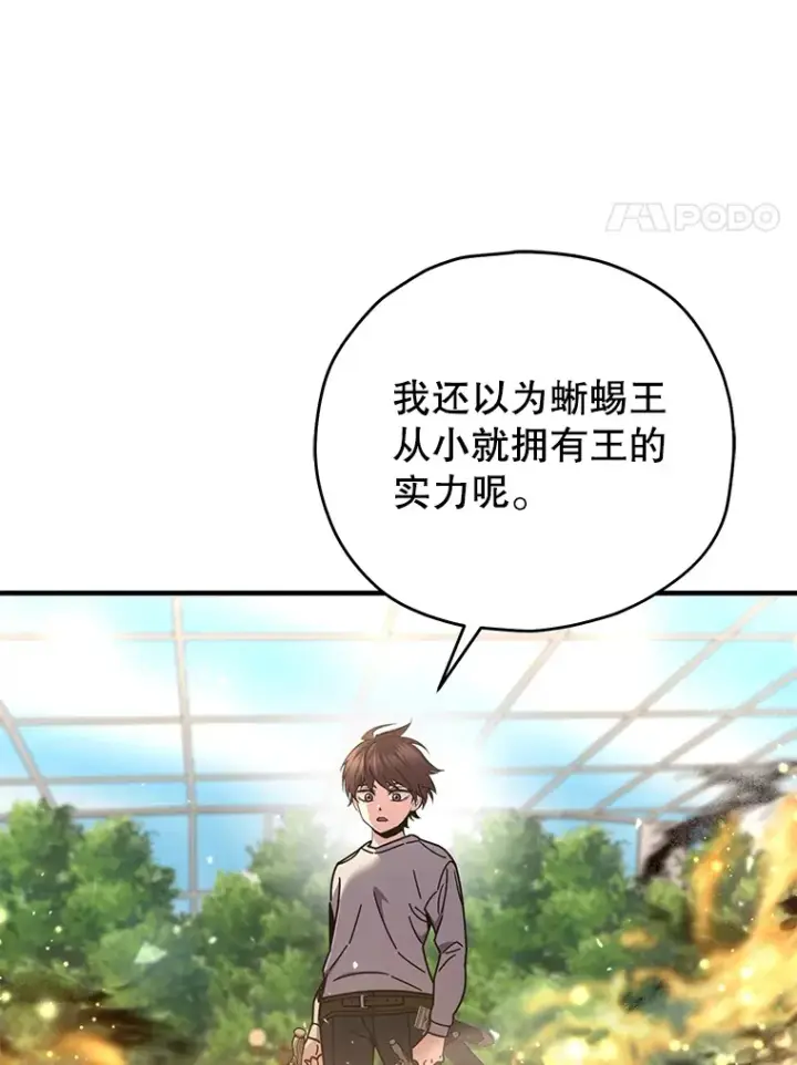 《不灭玩家的轮回》58.幼年蜥蜴王图114