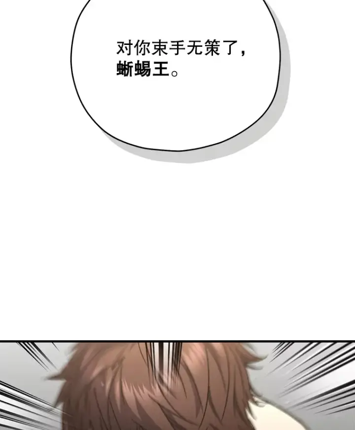 《不灭玩家的轮回》58.幼年蜥蜴王图43