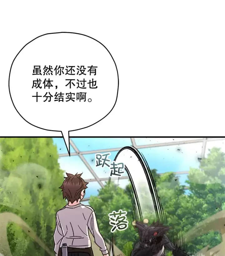 《不灭玩家的轮回》58.幼年蜥蜴王图75