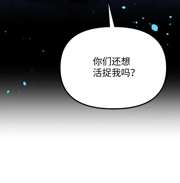 《不死王的轮回》33 恩宠图43