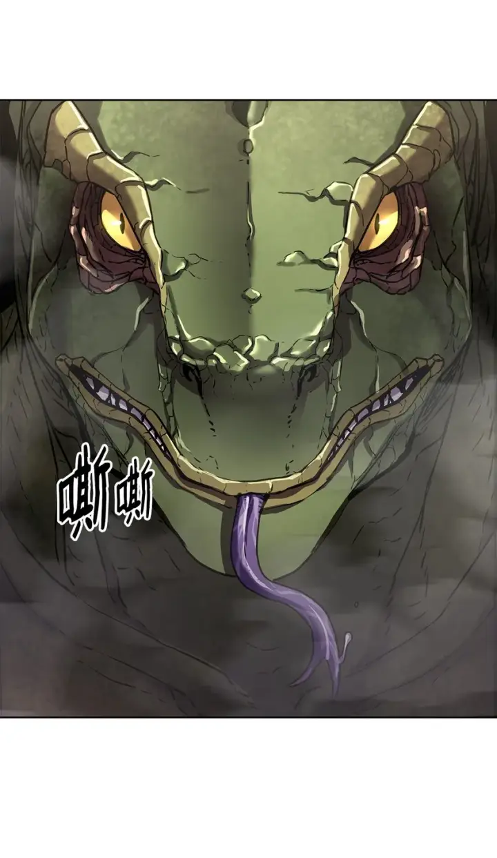 《不死王的轮回》33 恩宠图81