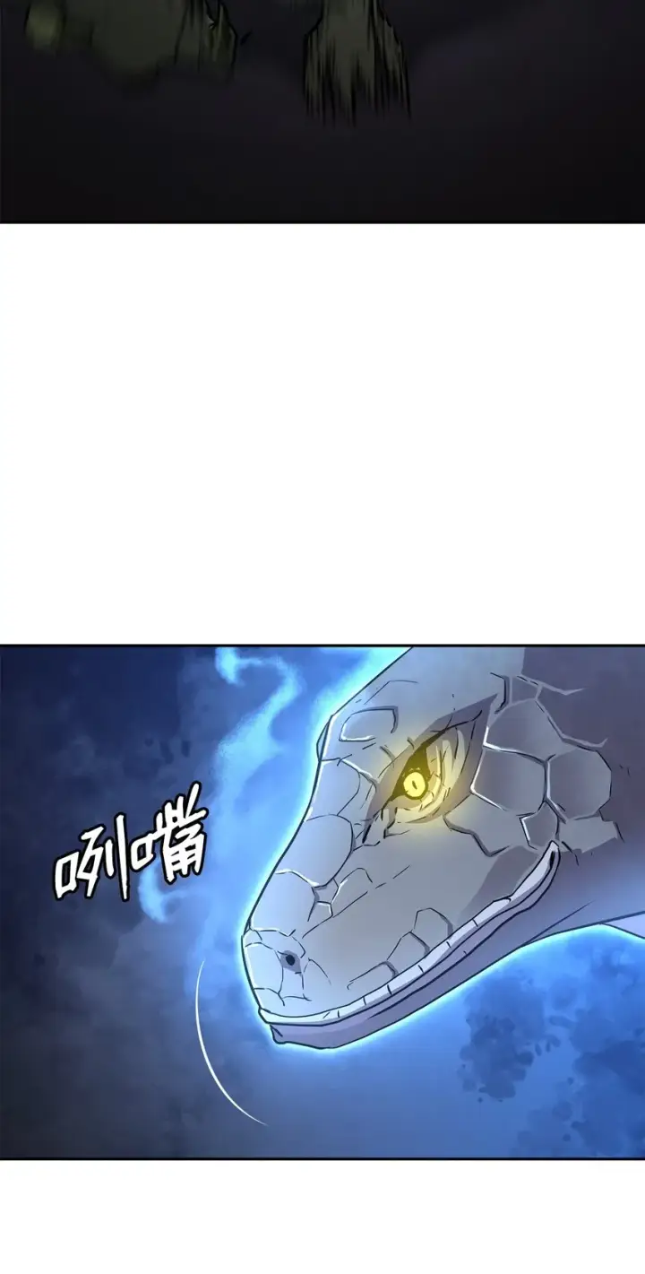 《不死王的轮回》43 群殴蛇怪图59