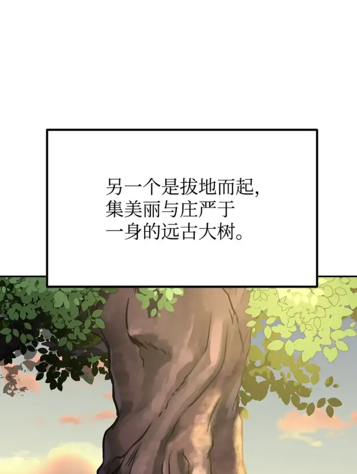 《不死王的轮回》45 风雷山君图5