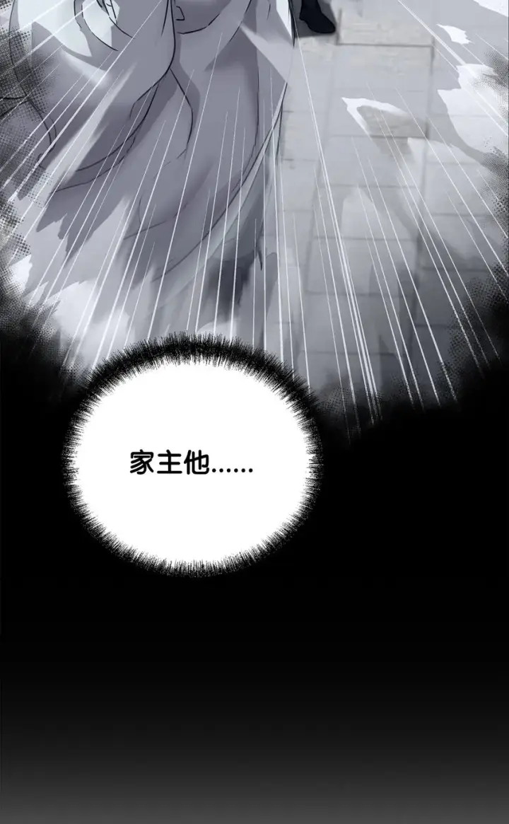 《不死王的轮回》61 万气充元阵图11