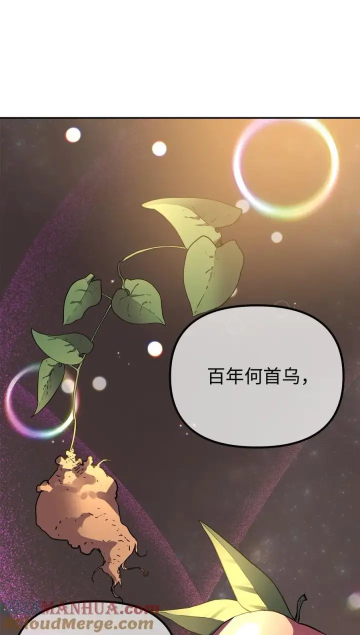 《不死王的轮回》103 组合毒图45