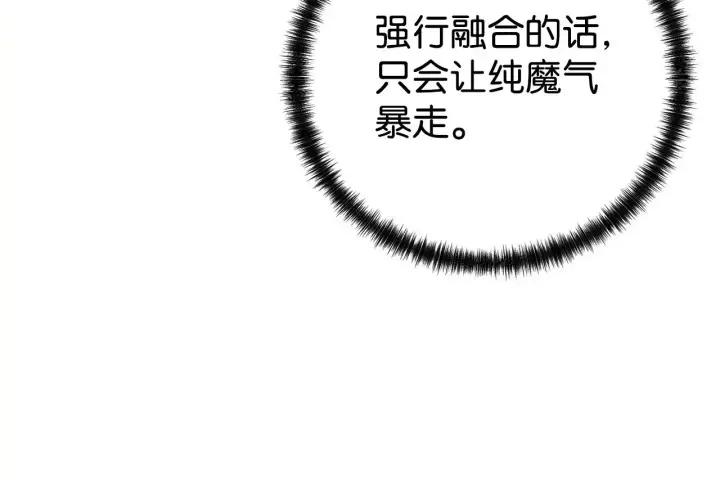《不死王的轮回》199 三力融合图155