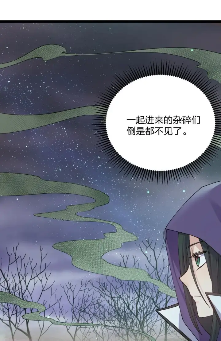 《长的太像BOSS，结果世人真的信了》16 找到沉星偃月了！图38