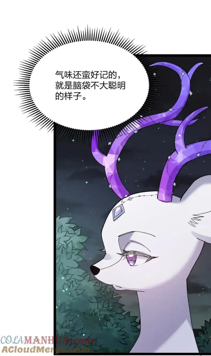《长的太像BOSS，结果世人真的信了》22 月神祭开端图43