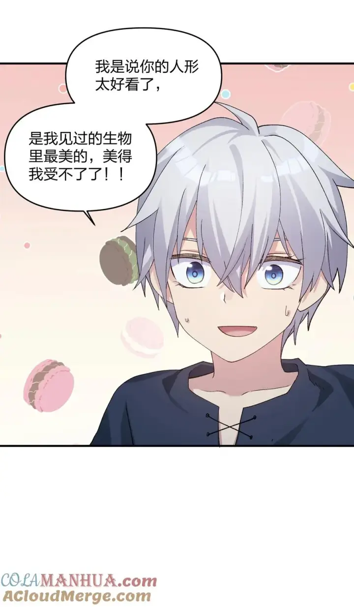 《长的太像BOSS，结果世人真的信了》32 第三十二话 最壮观的奇迹图13
