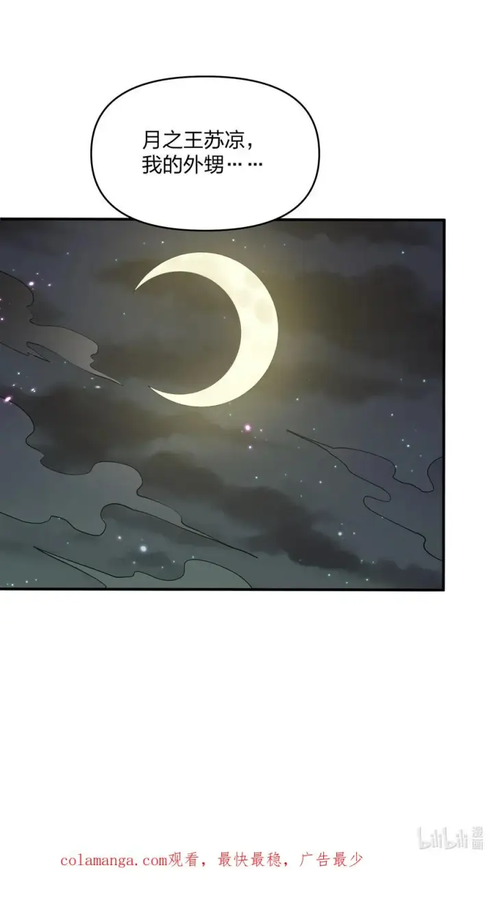 《长的太像BOSS，结果世人真的信了》47 降罚图71