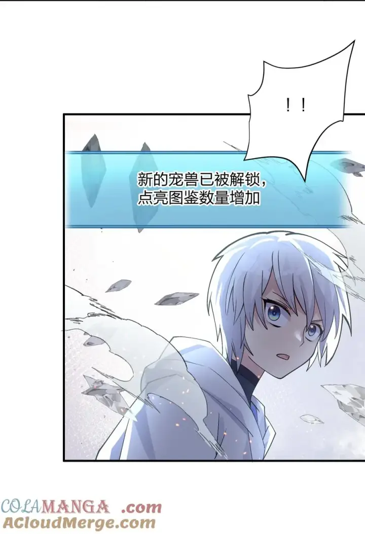 《长的太像BOSS，结果世人真的信了》66 东域十二天盾图55