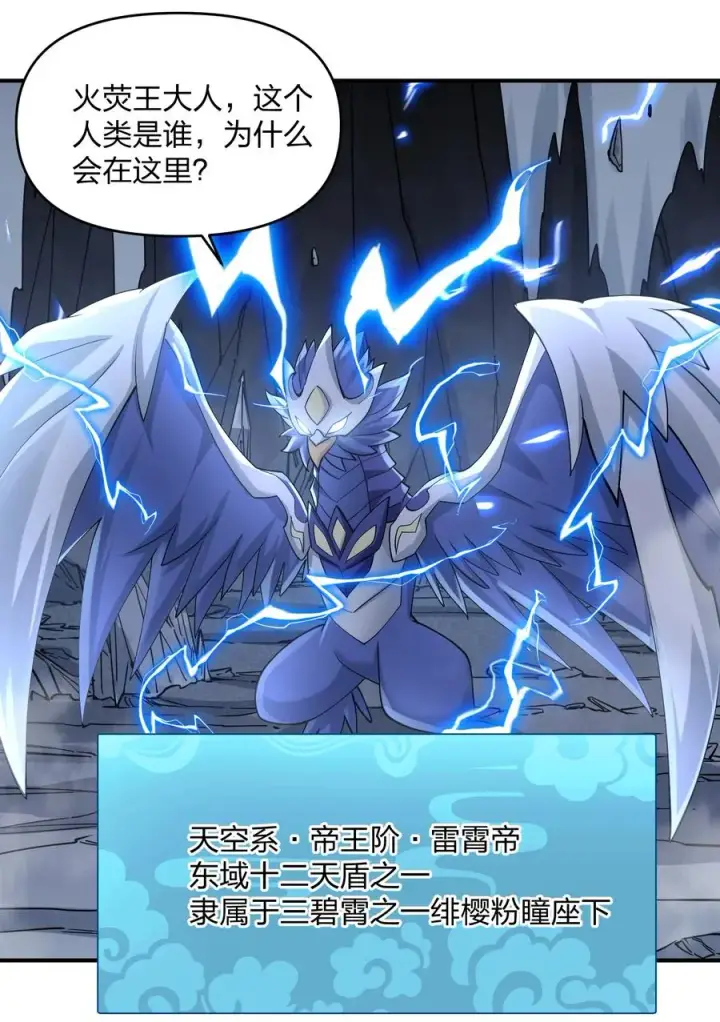 《长的太像BOSS，结果世人真的信了》66 东域十二天盾图56