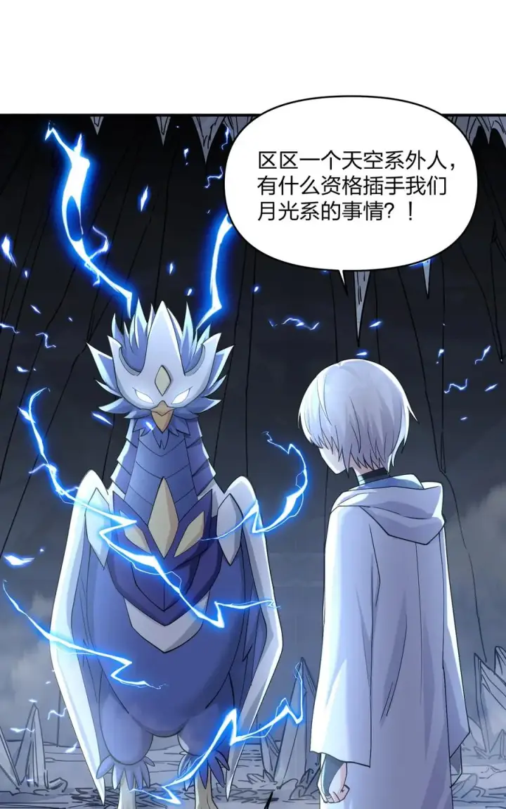 《长的太像BOSS，结果世人真的信了》66 东域十二天盾图60